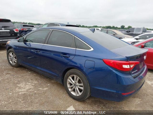 5NPE24AF8FH015612 Hyundai Sonata