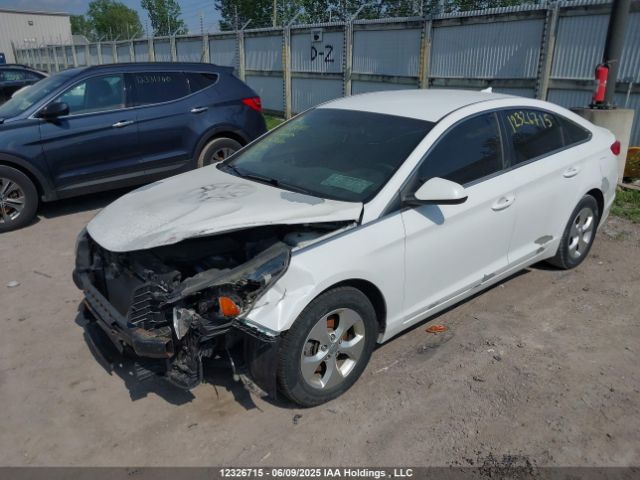 5NPE24AF6HH498164 Hyundai SONATA GL
