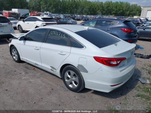5NPE24AF6HH498164 Hyundai SONATA GL