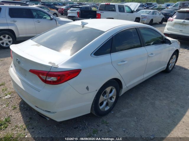 5NPE24AF6HH498164 Hyundai SONATA GL