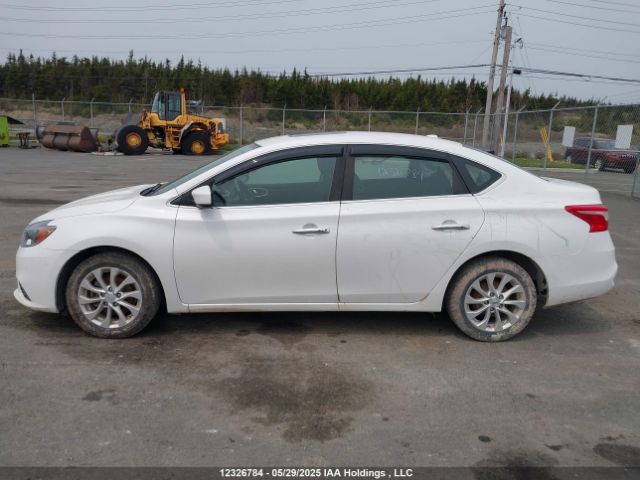 3N1AB7APXKY353294 Nissan Sentra