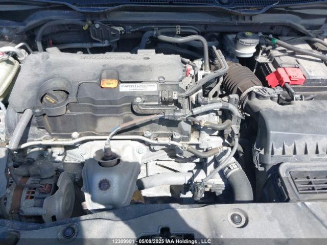 2HGFC2F88KH024704 Honda Civic Sport