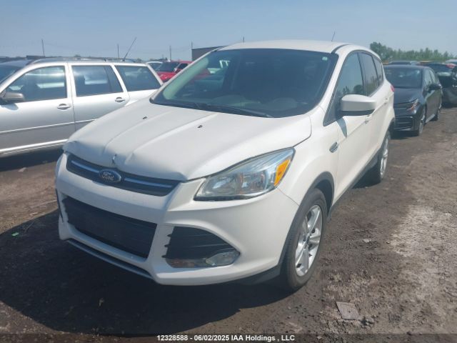 1FMCU0GX8FUC83328 Ford 2015