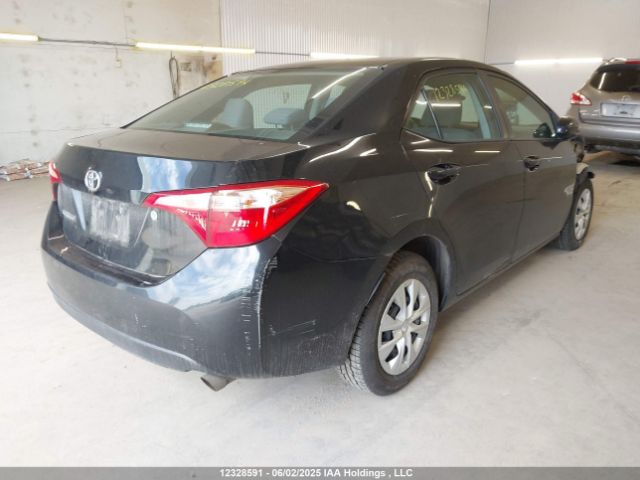 2T1BURHE7JC022683 Toyota Corolla