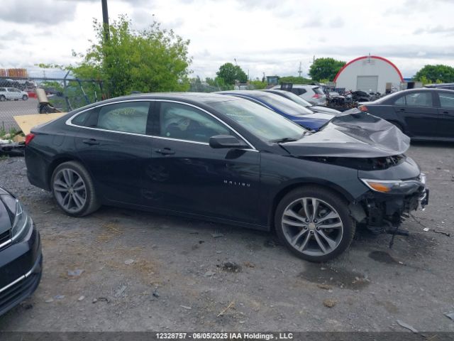 1G1ZD5ST8PF169151 Chevrolet MALIBU 1LT