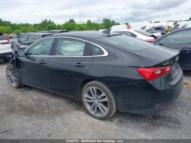 1G1ZD5ST8PF169151 Chevrolet MALIBU 1LT
