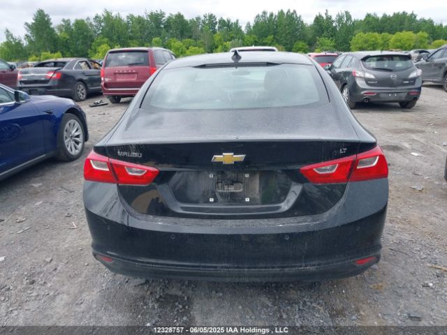 1G1ZD5ST8PF169151 Chevrolet MALIBU 1LT