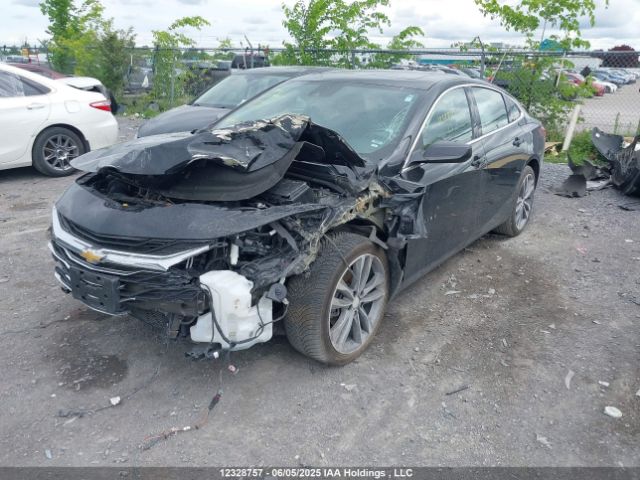1G1ZD5ST8PF169151 Chevrolet MALIBU 1LT