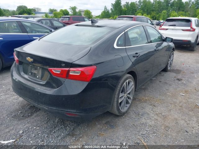 1G1ZD5ST8PF169151 Chevrolet MALIBU 1LT