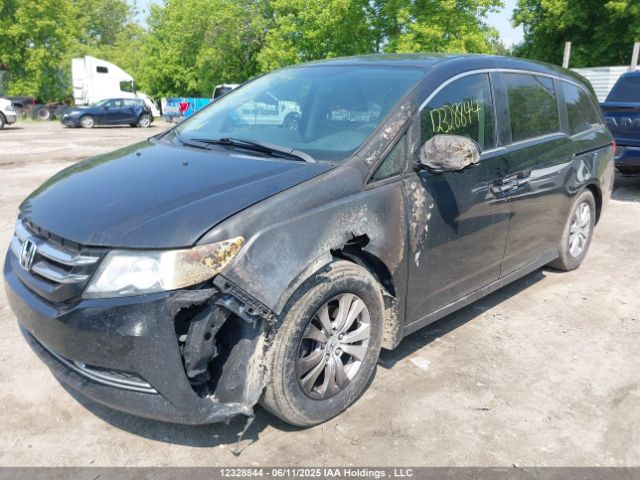 5FNRL5H46FB505196 Honda ODYSSEY EX