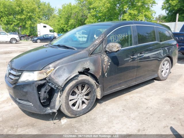 5FNRL5H46FB505196 Honda ODYSSEY EX