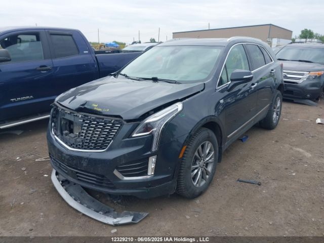 1GYKNDRS7MZ124669 Cadillac lgx