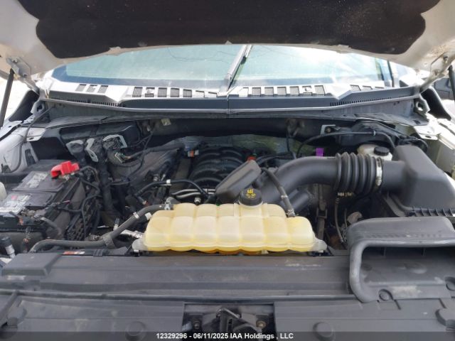 1FTFW1E51JFD98899 Ford F-150 Xlt