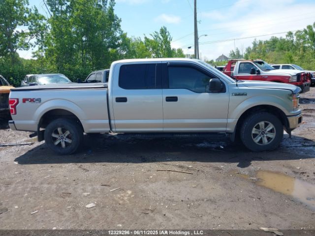 1FTFW1E51JFD98899 Ford F-150 Xlt