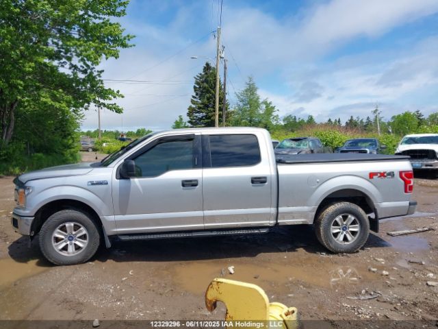 1FTFW1E51JFD98899 Ford F-150 Xlt