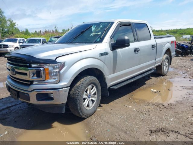 1FTFW1E51JFD98899 Ford F-150 Xlt