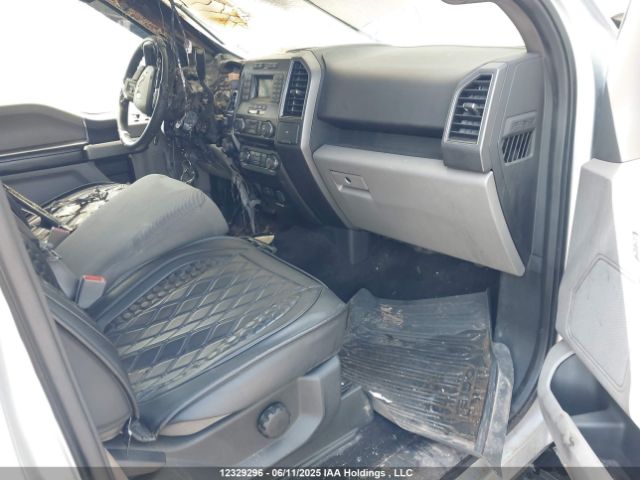1FTFW1E51JFD98899 Ford F-150 Xlt