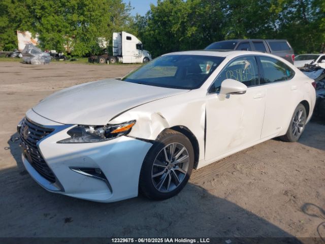 JTHBW1GG7H2133997 Lexus 2ar-fxe, 2jm