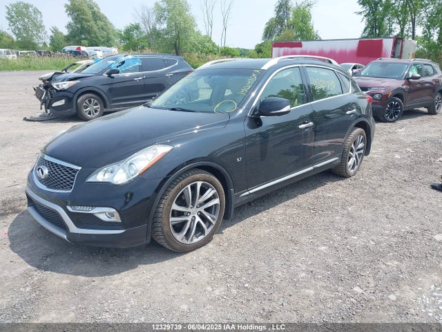 JN1BJ0RR8HM403318 Infiniti QX50
