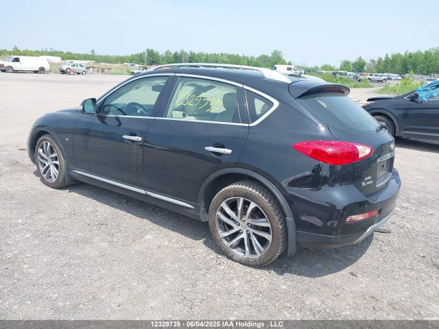JN1BJ0RR8HM403318 Infiniti QX50