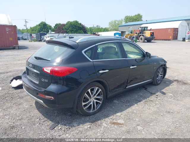 JN1BJ0RR8HM403318 Infiniti QX50