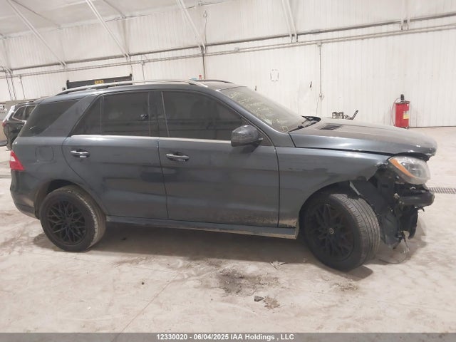 Mercedes-Benz Ml-Class 2015 4JGDA2EB9FA520846 Image 12