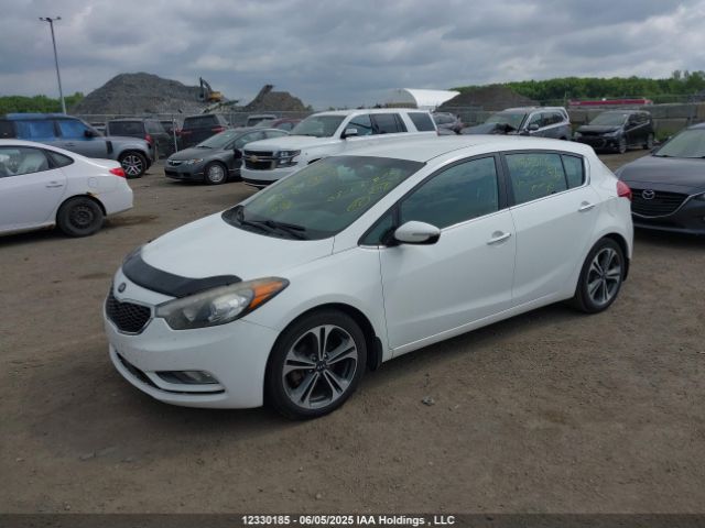 KNAFX5A83E5251576 KIA Forte