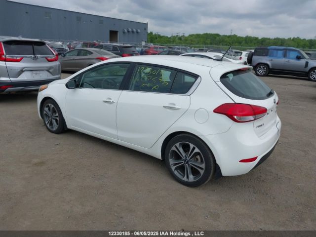 KNAFX5A83E5251576 KIA Forte