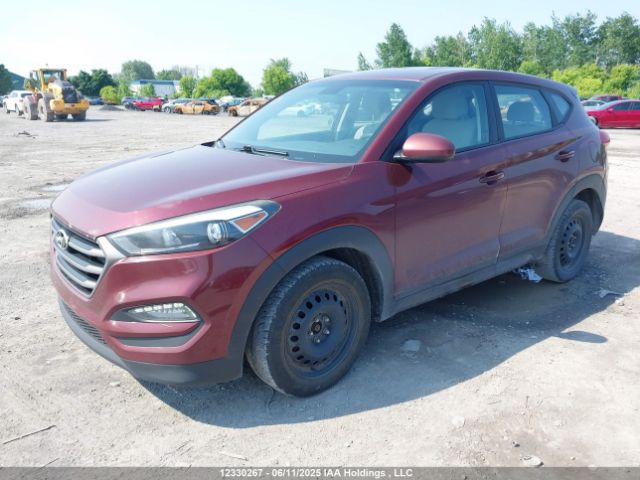 KM8J23A45GU135099 Hyundai Tucson