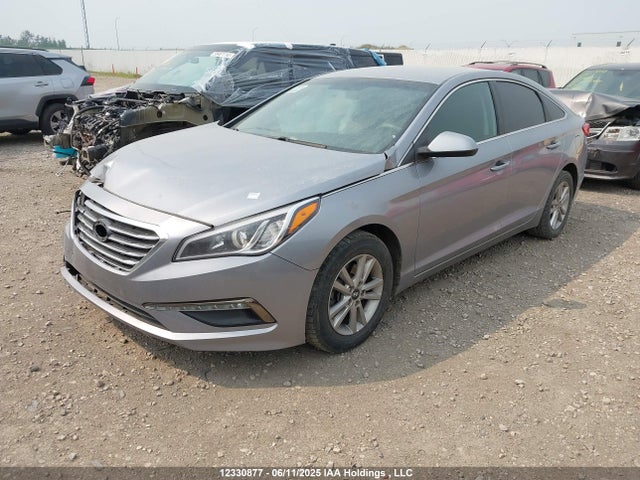 5NPE24AF1HH486052 Hyundai 2017
