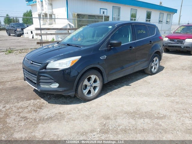 1FMCU0GX7EUB02847 Ford Escape