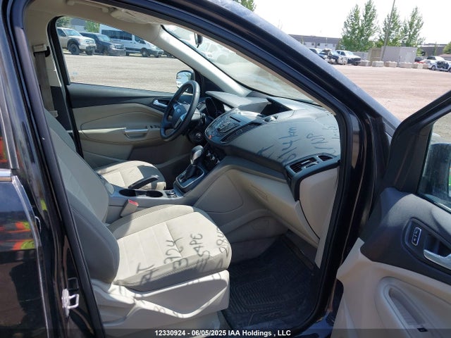 1FMCU0GX7EUB02847 Ford Escape