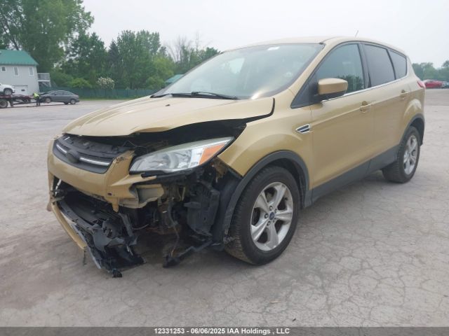 1FMCU0GX8EUC48092 Ford 2014