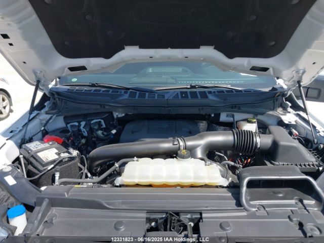 1FTFW1E89NFB81150 Ford F-150 Xlt