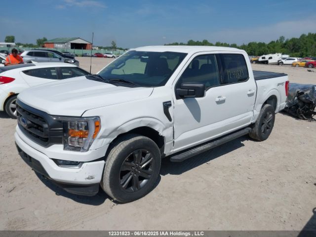 1FTFW1E89NFB81150 Ford F-150 Xlt