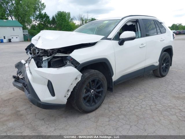 2T3RWRFV5RW187936 Toyota Rav4 Hybrid Xle