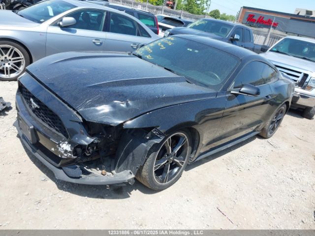 1FA6P8TH6F5327476 Ford 2015
