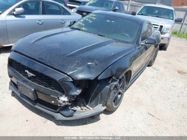 1FA6P8TH6F5327476 Ford 2015
