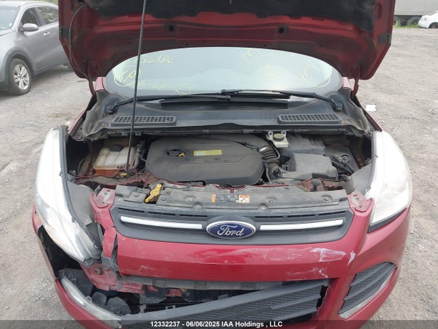 Ford Escape 2014 1FMCU0GX5EUC12022 Image 10