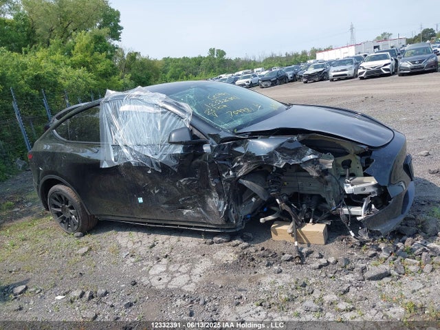 7SAYGDEEXPF709981 Tesla Model Y