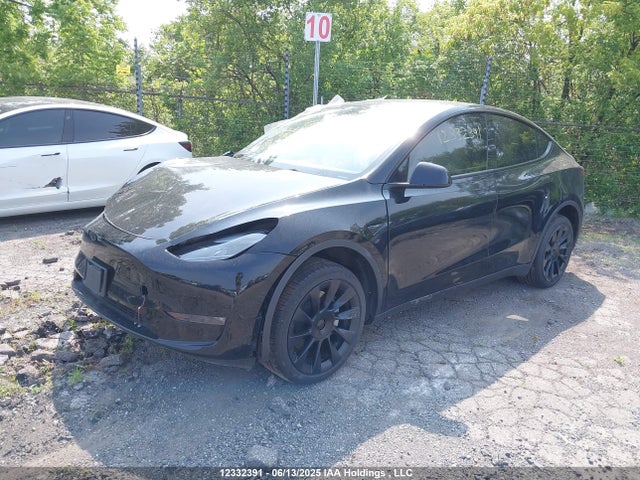 7SAYGDEEXPF709981 Tesla Model Y