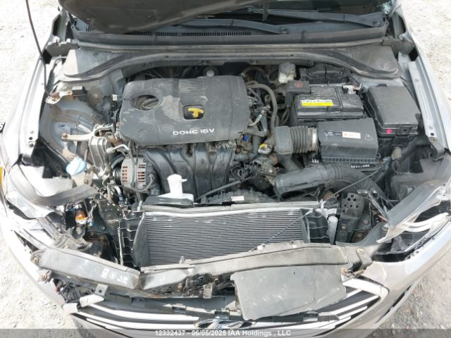 5NPD74LF7HH053135 Hyundai 2017