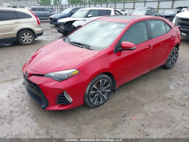2T1BURHE4KC144791 Toyota Corolla L/le/xle/se/xse