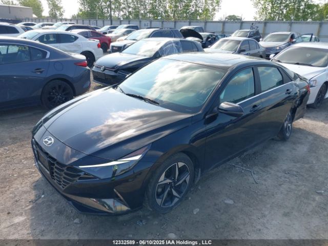 KMHLN4AG8PU425255 Hyundai Elantra Luxury Ivt