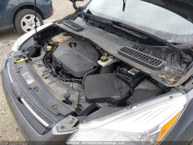 1FMCU0GXXEUE43434 Ford 2014