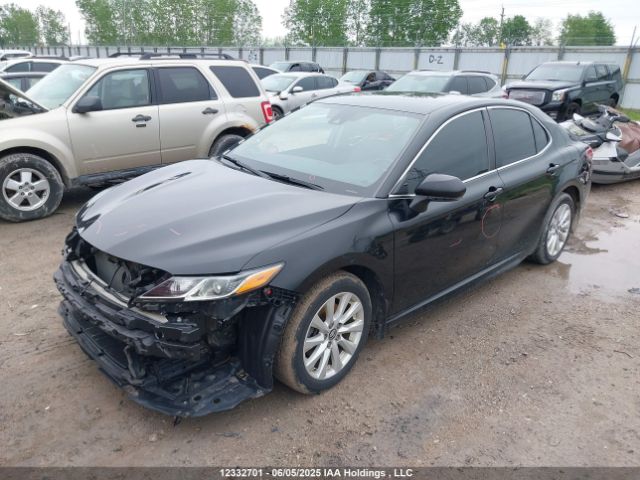 4T1B11HK2KU818015 Toyota CAMRY SE