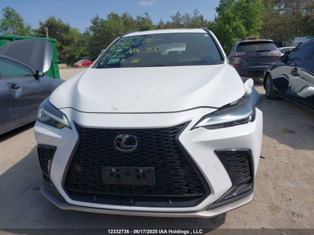 Lexus t24a-fts 2024 2T2KGCEZ2RC050572 Image 13
