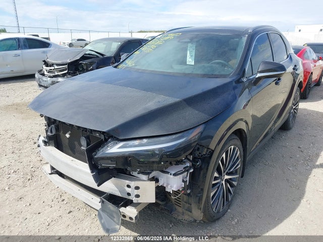 Lexus t24a-fts 2024 2T2BAMCA7RC080817 Image 2