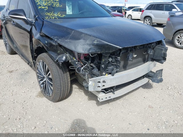 Lexus t24a-fts 2024 2T2BAMCA7RC080817 Image 6