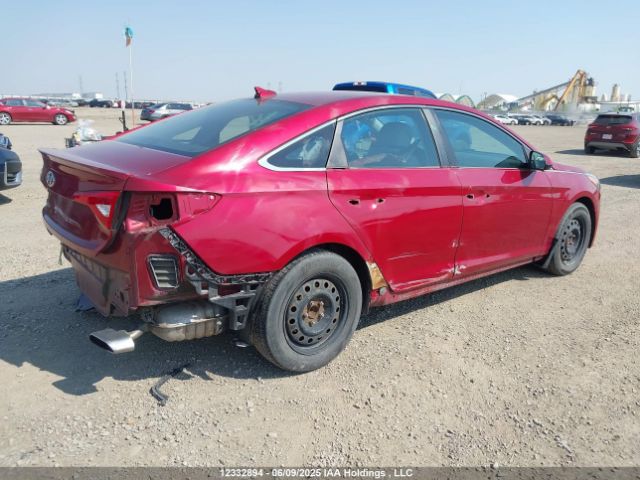 5NPE24AF8FH160326 Hyundai SONATA GL